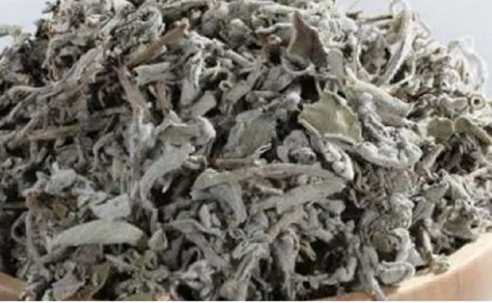 الميرمية وفوائدها