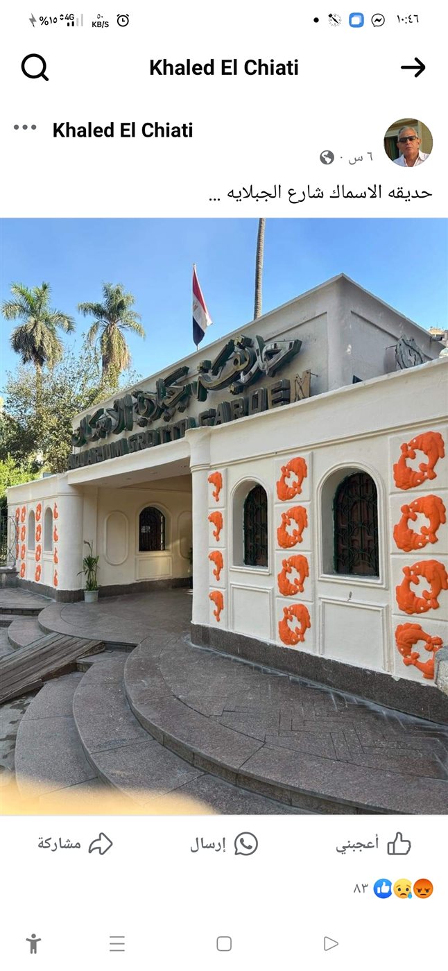 الصورة المتداولة