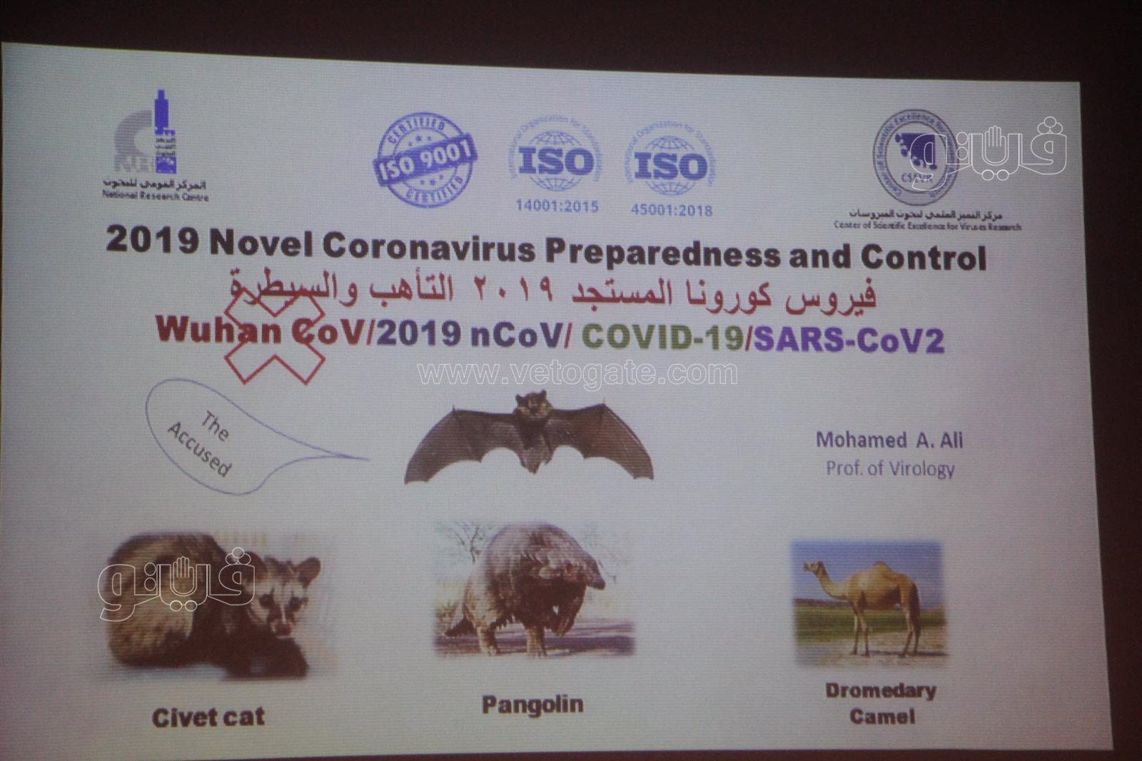 المؤتمر الصحفي الذي يعقده الدكتور خالد عبد الغفار وزير التعليم العالى والبحث العلمى اليوم الأحد (16)