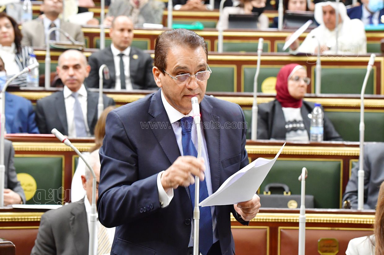 الجلسة العامة للبرلمان (11)