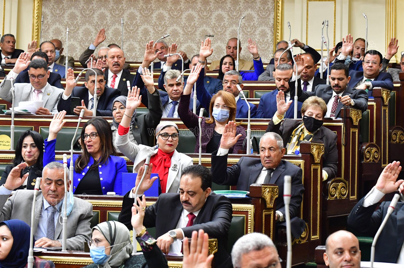 الجلسة العامة للبرلمان (21)