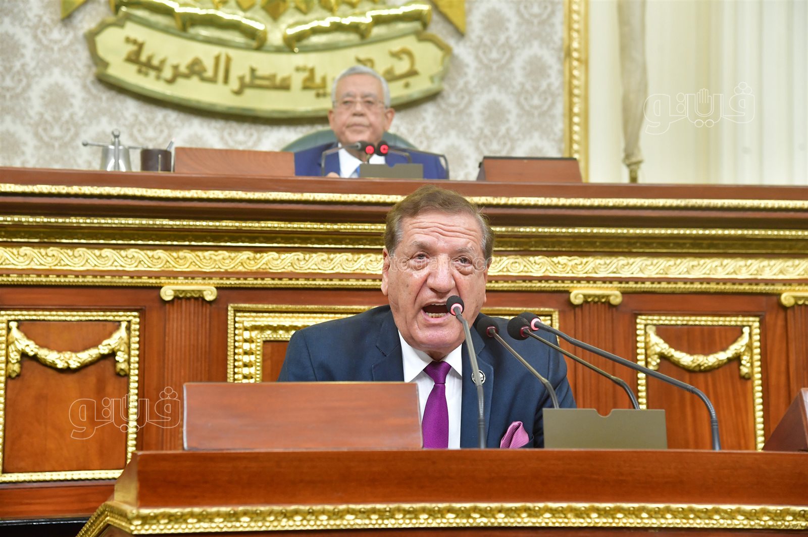 الجلسة العامة للبرلمان (25)