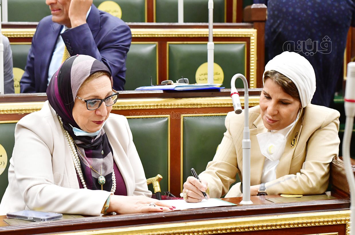 الجلسة العامة للبرلمان (5)