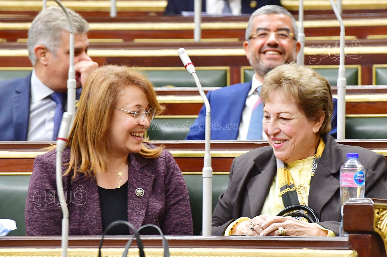 الجلسة العامة للبرلمان (3)