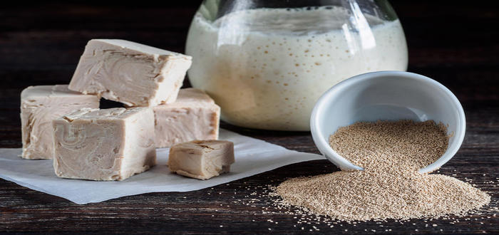 فوائد الخميرة البيرة للصحة