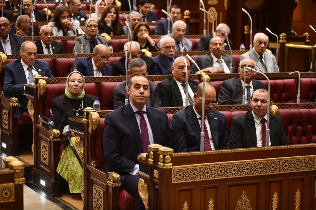 مشاركة وزير العمل بجلسة الشيوخ