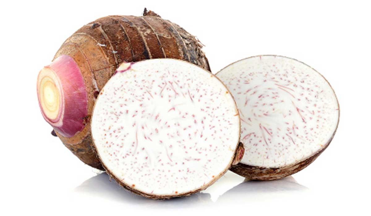 فوائد القلقاس