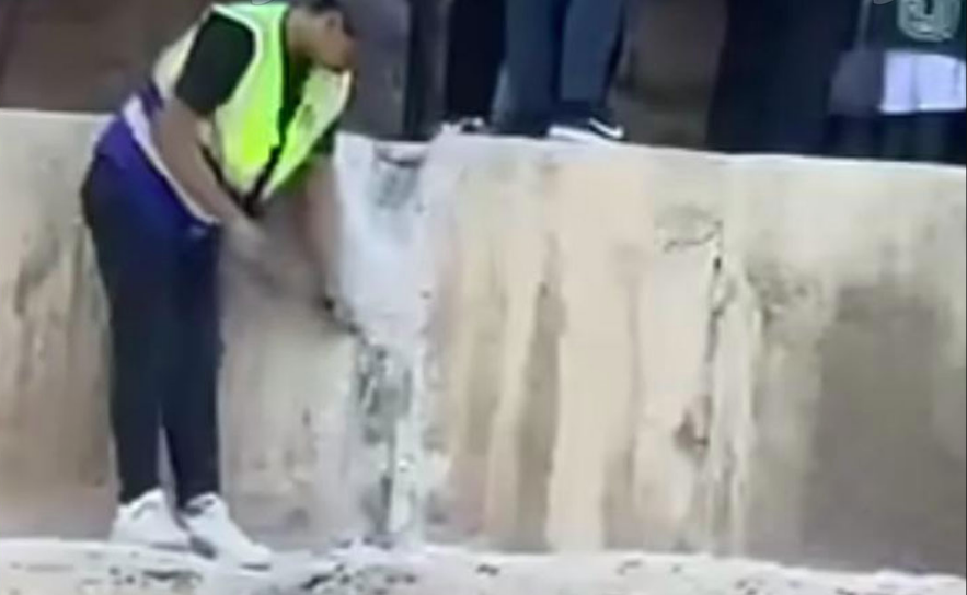 تكسير الحجارة بالهرم يثير القلق، فيتو