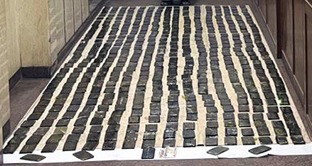 مخدر الحشيش