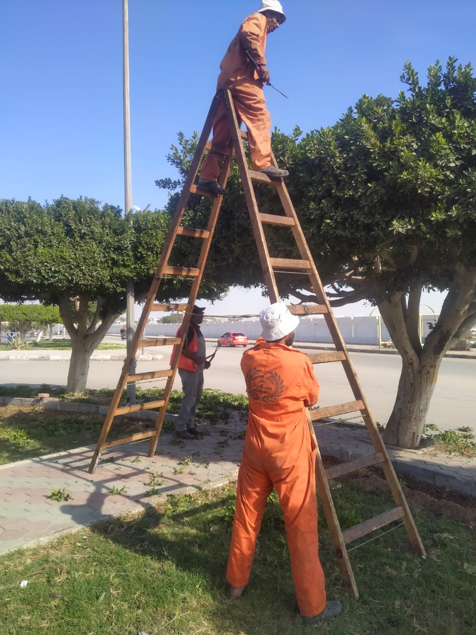 جانب من أعمال الصيانة،فيتو