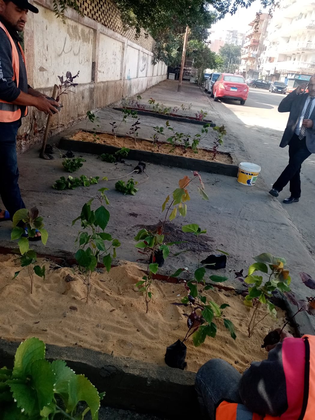 جانب من أعمال المبادرة،فيتو