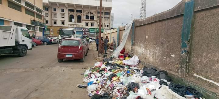 جانب من أعمال المبادرة،فيتو