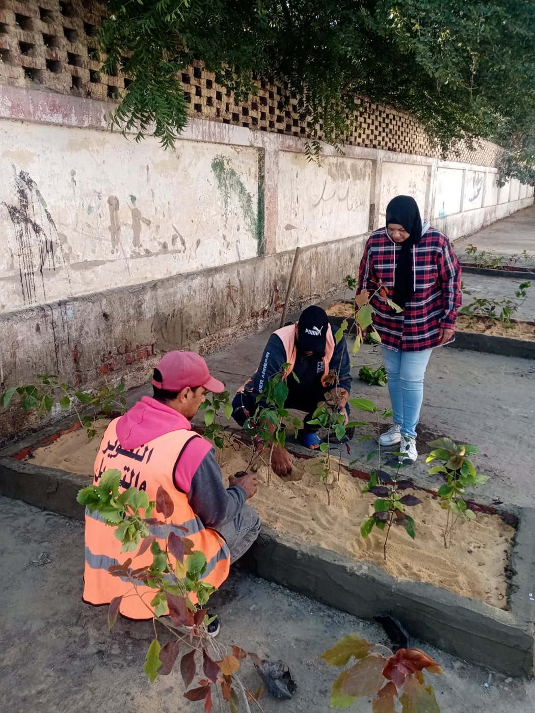 جانب من أعمال المبادرة،فيتو