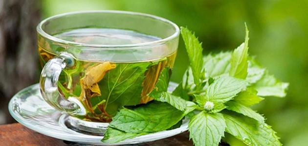 فوائد الشاى الأخضر