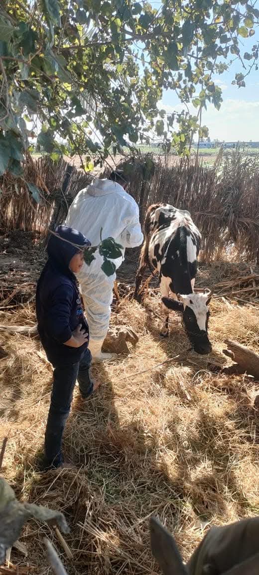 جانب من الحملات،فيتو