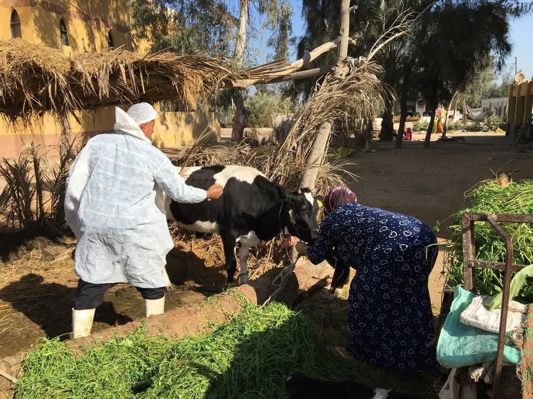 جانب من الحملات،فيتو