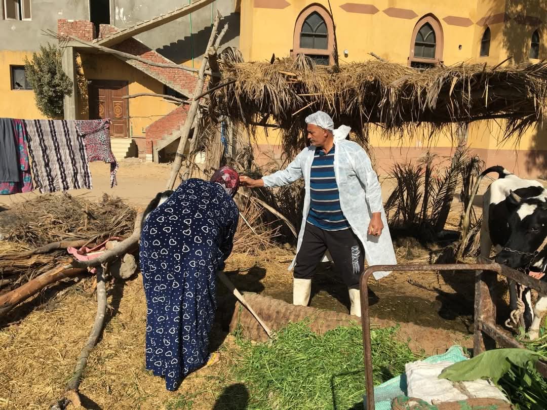 جانب من الحملات،فيتو