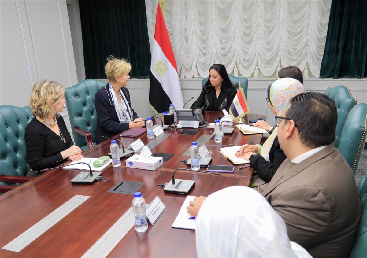 وزارة التضامن الاجتماعي،فيتو