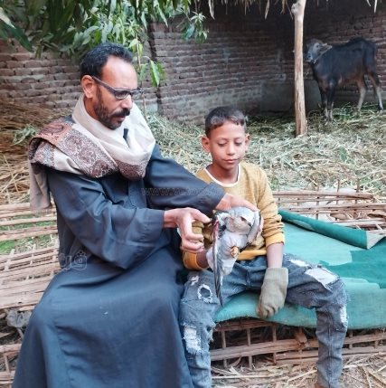 طفل أبهر الصعيد في اصطاد الصقور والذئاب بـنبلة وشرك الحديدي (3)
