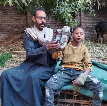 طفل أبهر الصعيد في اصطاد الصقور والذئاب بـنبلة وشرك الحديدي (6)