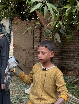 طفل أبهر الصعيد في اصطاد الصقور والذئاب بـنبلة وشرك الحديدي (8)