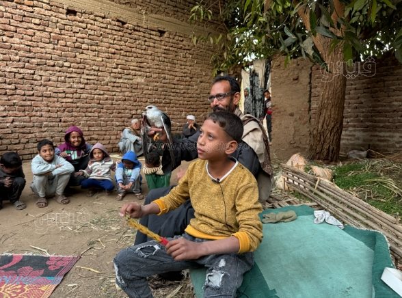 طفل أبهر الصعيد في اصطاد الصقور والذئاب بـنبلة وشرك الحديدي (9)