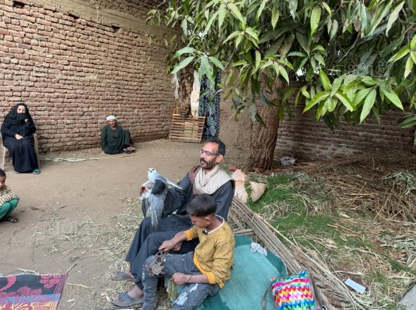 طفل أبهر الصعيد في اصطاد الصقور والذئاب بـنبلة وشرك الحديدي (11)