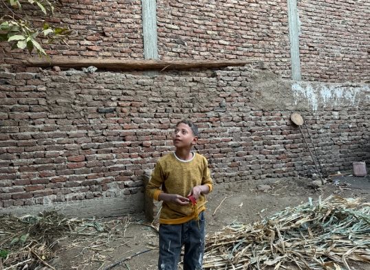 طفل أبهر الصعيد في اصطاد الصقور والذئاب بـنبلة وشرك الحديدي (13)