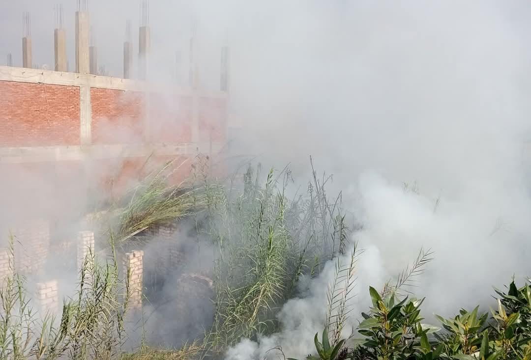 حريق في بوص مجاور لمجموعة من المنازل بالقليوبية،فيتو