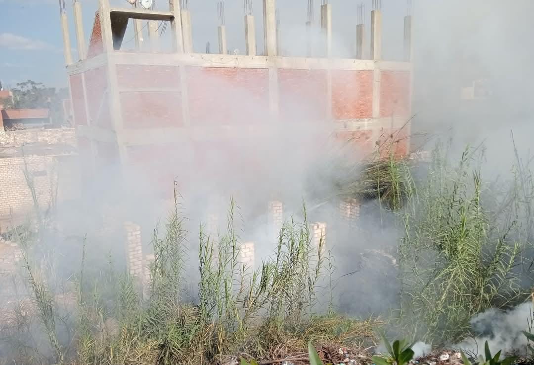 حريق في بوص مجاور لمجموعة من المنازل بالقليوبية،فيتو