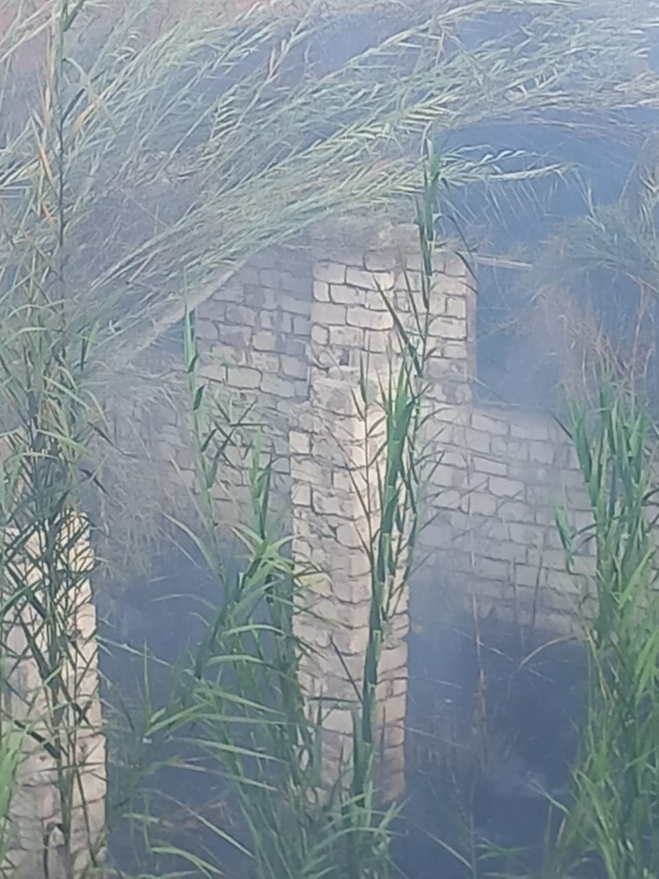 حريق في بوص مجاور لمجموعة من المنازل بالقليوبية،فيتو