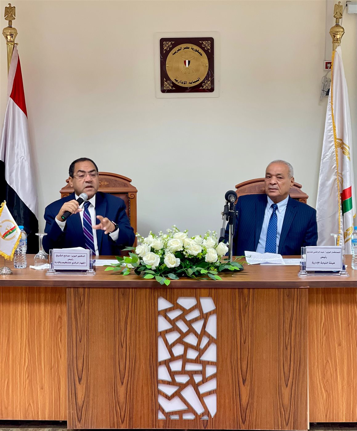 النيابة الإدارية