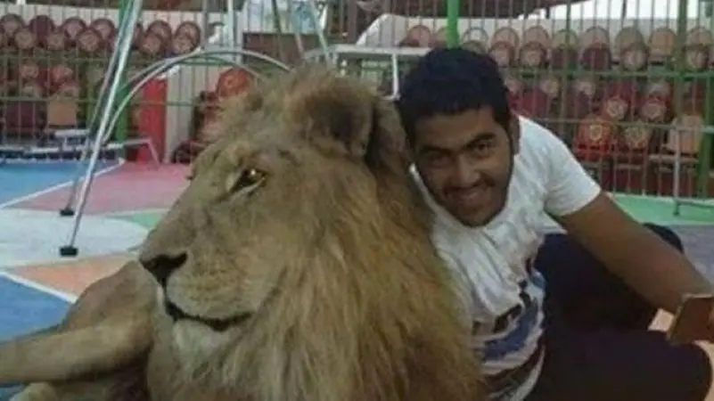 لعبة ترويض الاسود 