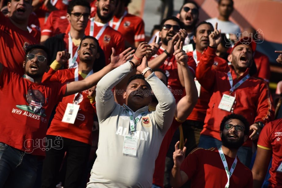 جماهير الاهلي (15)