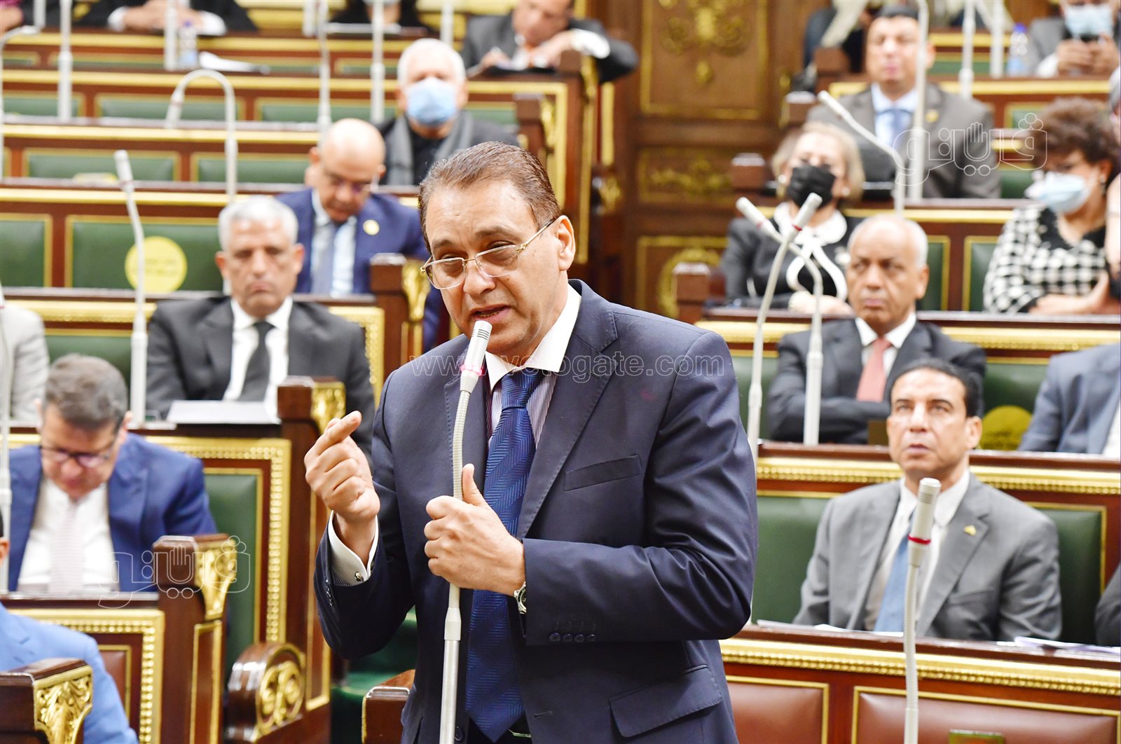 مجلس النواب (1)