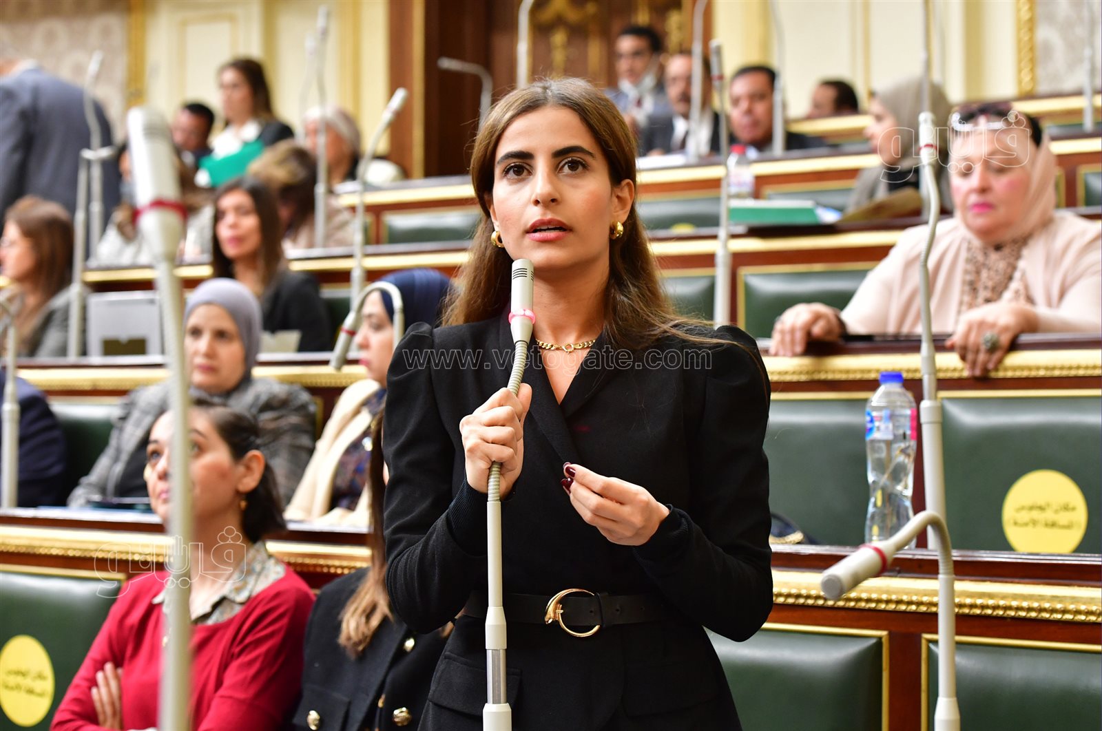 مجلس النواب (4)