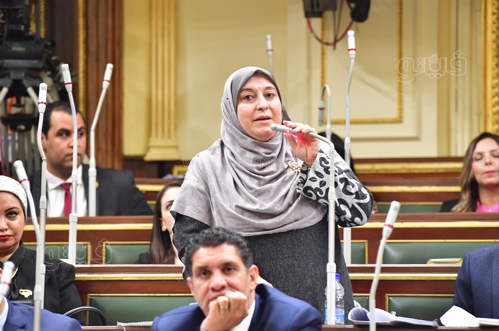 مجلس النواب (15)