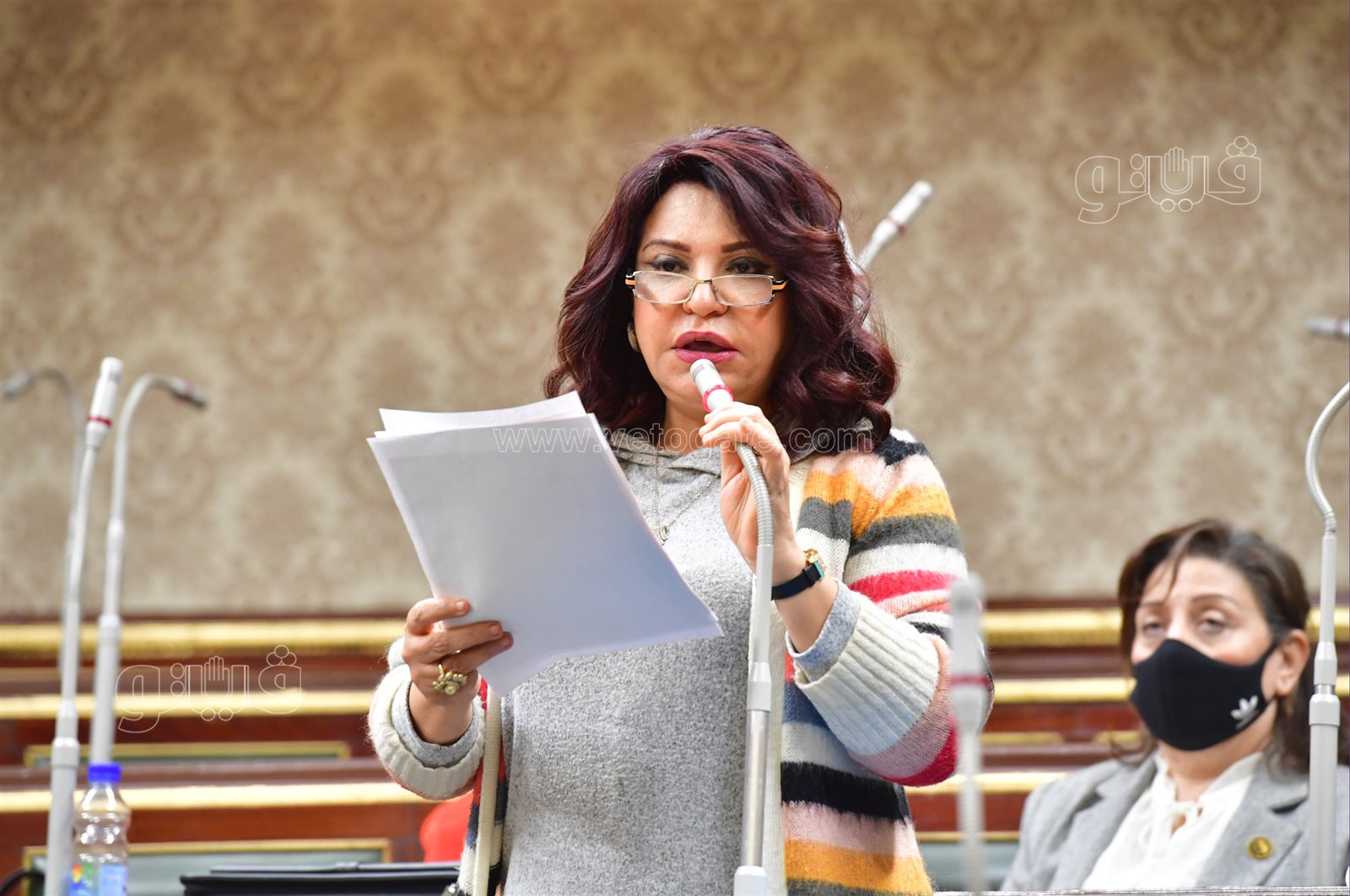 مجلس النواب (17)