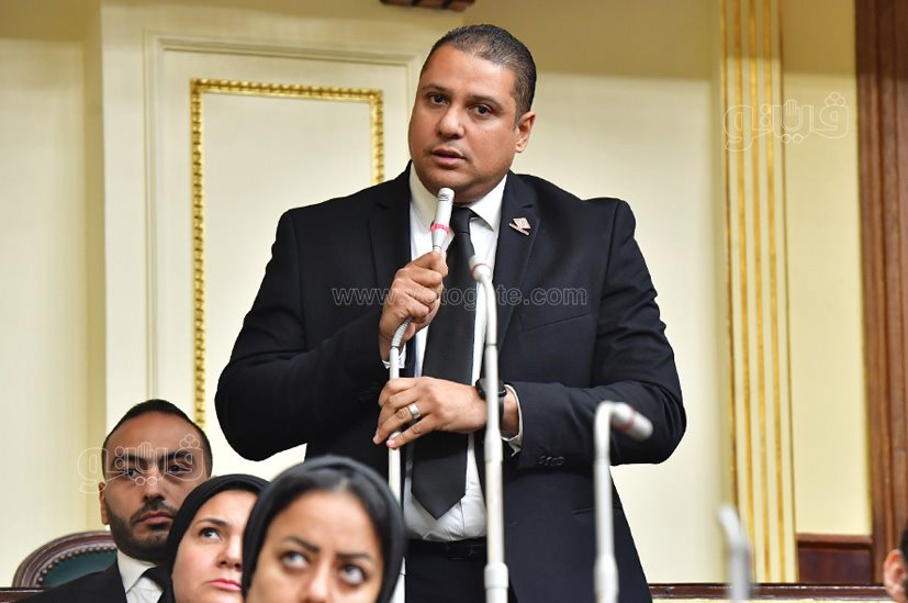 مجلس النواب (46)