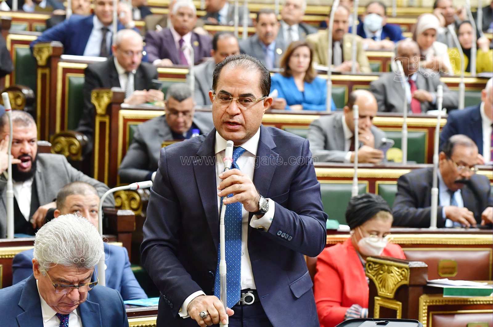 مجلس النواب (57)