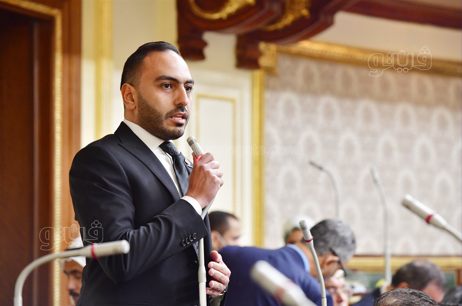 مجلس النواب (50)