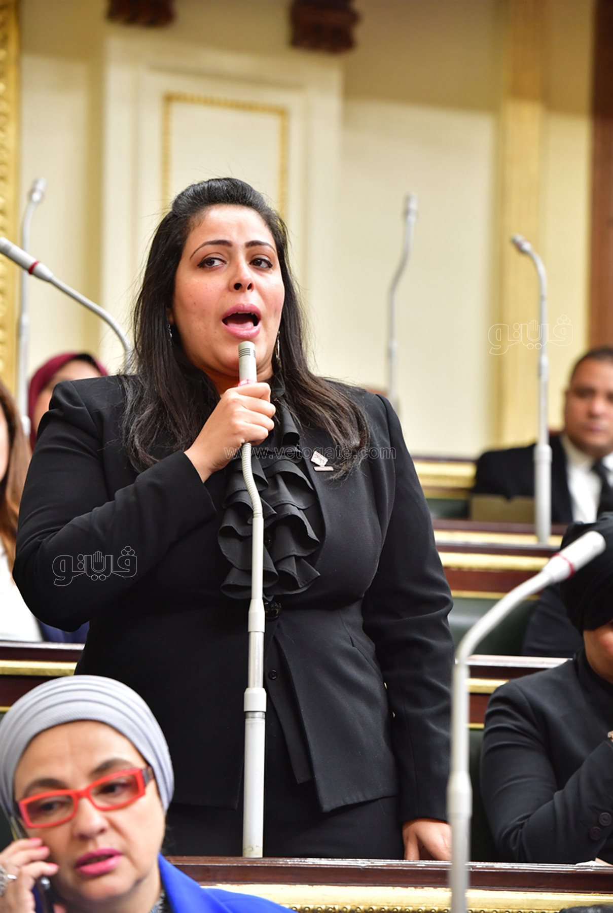 مجلس النواب (52)