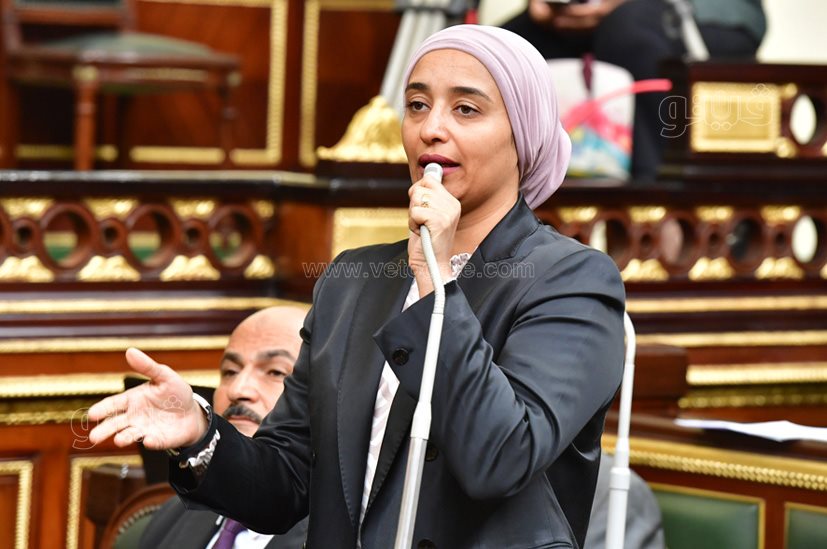 مجلس النواب (16)