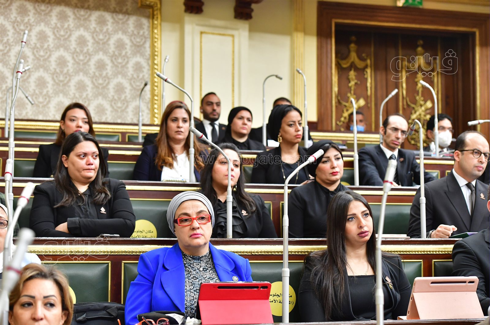 مجلس النواب (44)