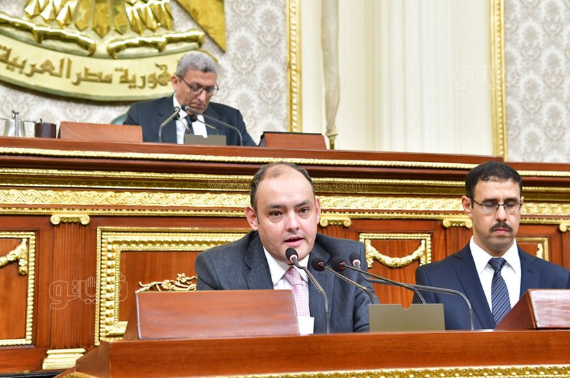 مجلس النواب (24)