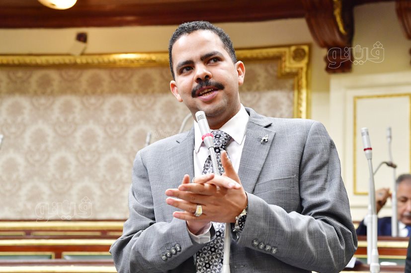 مجلس النواب (25)