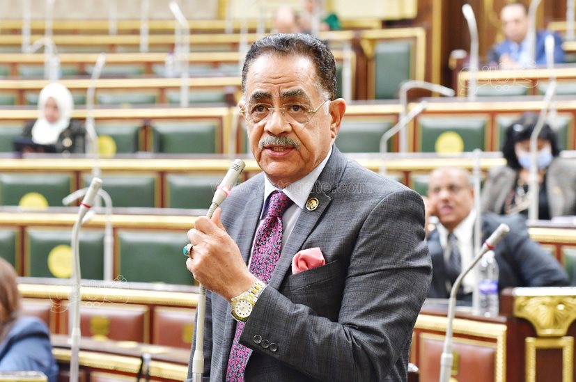 مجلس النواب (28)