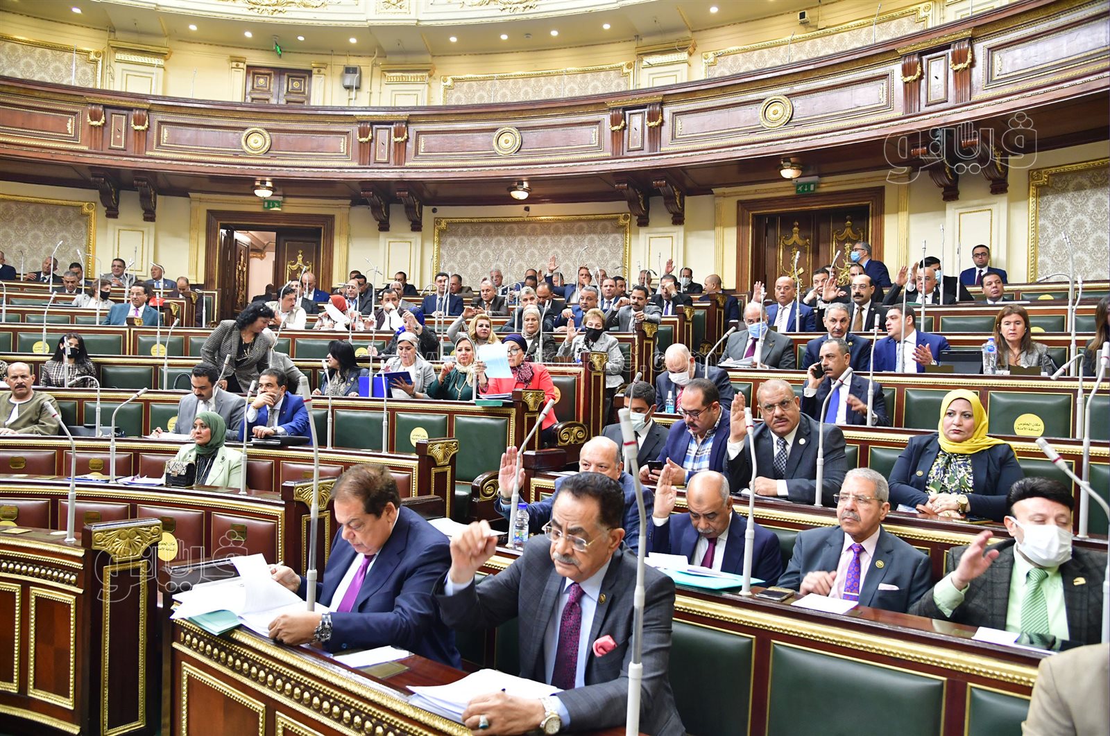 مجلس النواب (38)