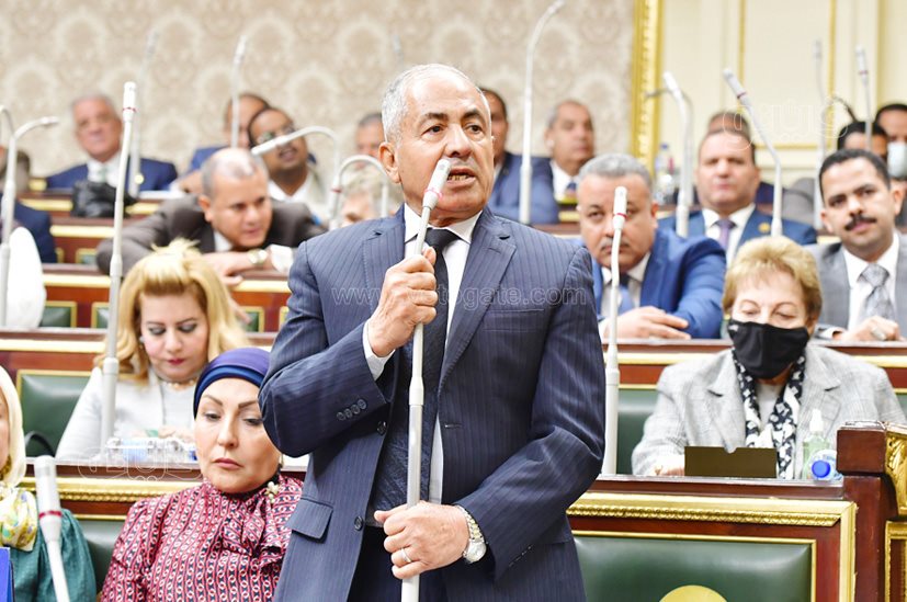 مجلس النواب (41)