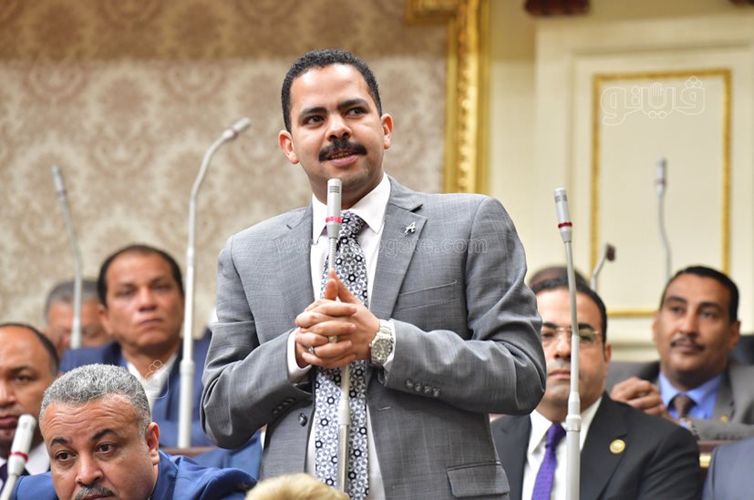 مجلس النواب (42)